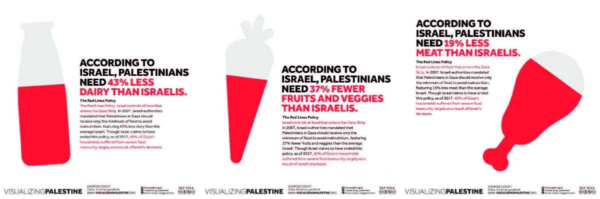 Visualizing Palestine