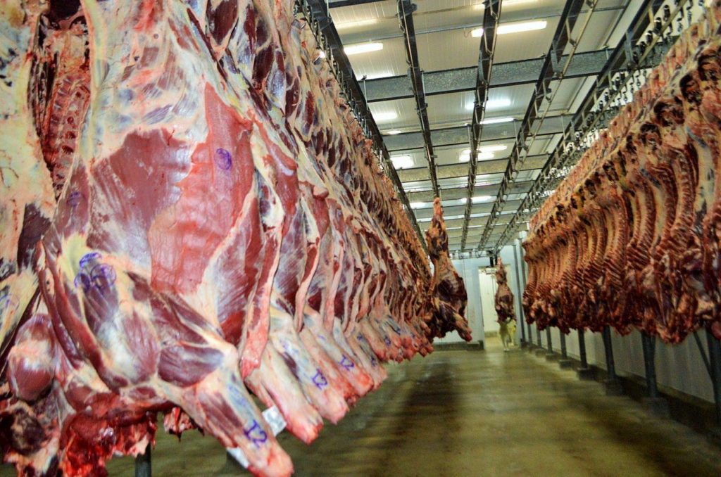 Análise sobre a produção de carnes no Brasil